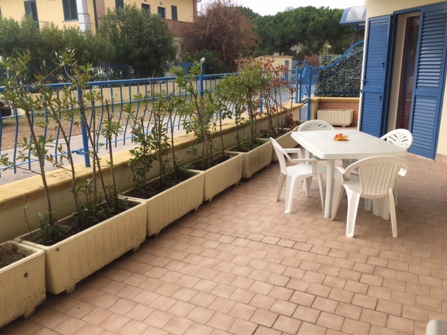 PRIMAVERA  - rif 31